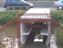 S8 Paszkow Przeszkoda