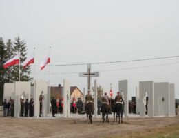 Szaniawy pomnik realizacja klinika betonu compressed